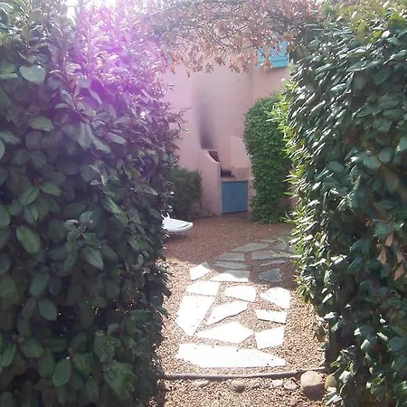 St Cyprien D24